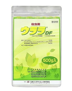 EDF 500g AuV E K[fpi ƒ؉