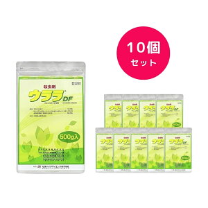 y10Zbgz EDF 500g AuV E K[fpi ƒ؉