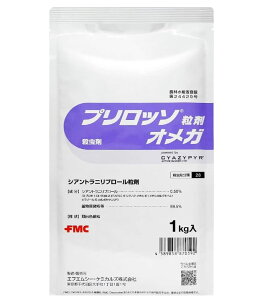 vb\IK 1kg 3-4TԂ̌ II^oRK RiK AuV `E RiW~