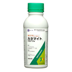 Jl}CgtAu 500ml E | _j΍ _j쏜