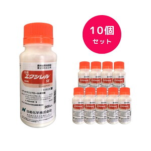 y10Zbgz GNVSE 200ml E K[fpi ƒ؉