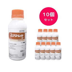 y10Zbgz GNVSE 500ml E K[fpi ƒ؉