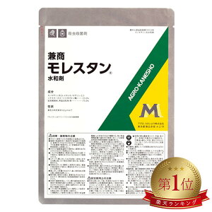 y10Zbgz X^a 500g   퉷 _jނ̗ h Q c  E