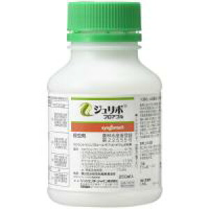 y10Zbgz W{tAu 250ml E Lxc ͂ ubR[ ^X AuV AIV RiK