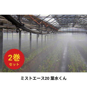 y2Zbgz~XgG[X20 t WB1090 Z_Ǝ