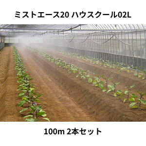 y2Zbgz~XgG[X20 nEXN[02L 100m WB8340 Z_Ǝ