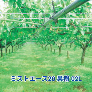 y2Zbgz~XgG[X20 ʎ 02L WB1093 Z_Ǝ