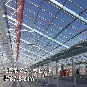 y2Zbgz Ԗ V 67.5cm Iׂ钷 POtB  _Ɨp rj[nEXp ZϐtB