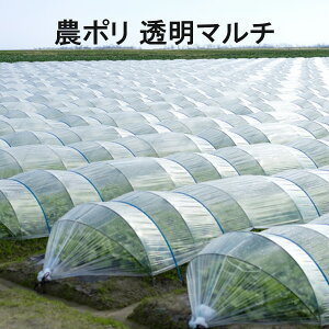 ϋv_|  0.1mm 180cm 100m 3{̔ rj[nEX }`O }`V[g  ቷ n㏸