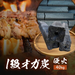 IKY v40kg 4ł͂ DΔY Y 1i Y ₫ɂ  F[ ΂