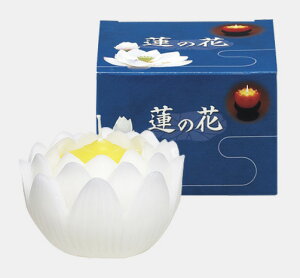 @̉  zCg Ct 5Zbg }GX 10T077W-02