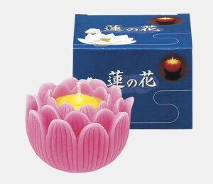 蓮の花 大 ピンク・パープル 箱入 10箱セット マルエス 10T077P-01・V-01