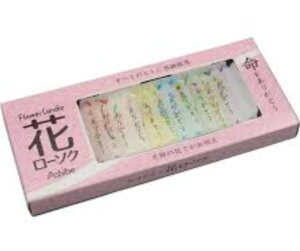 肪Ƃ Ԃ낤 12{i1×eԁj 20Zbg ЃAVxH| AT795