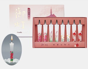 y3Zbg zlGV[Y 䓔 lG̓ }GX 10T242