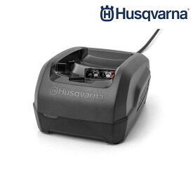 急速充電器 QC250 パワー 250W バッテリーシリーズ ハスクバーナ Husqvarna 967970104