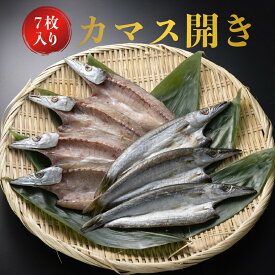 楽天市場 カマス その他水産物 魚介類 水産加工品 食品の通販