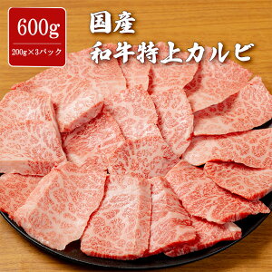 Y aJr 600g Opo ؂ 炩 t ē  o[xL[ BBQ e