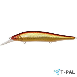 KoX(Megabass) X-80 MAGNUM+1(X-80}Oi+1) GG AJL