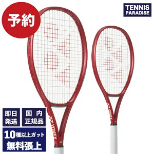 0109()\I2026 YONEX lbNX ejXPbg uCRA100L / VCORE 100L (08VC100L) Iׂ12ނ̃T[rXKbgIr[bh
