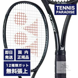 ヨネックス ラケット レグナ98の人気商品・通販・価格比較 - 価格.com