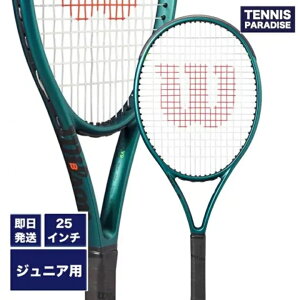 2024 Wilson �E�C���\�� �e�j�X���P�b�g �W���j�A �u���[�h25 V9 / BLADE 25 V9 (WR151610S) �O���[�� �K�b�g����グ�ς�