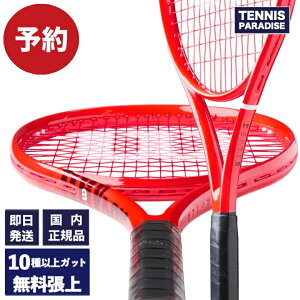 2026�N10����{�����\�� Wilson �E�C���\�� �e�j�X���P�b�g �f�B�t�@�C�A 100 V1 / DEFYER 100 V1 (WR215411U) �I�ׂ�12��ނ̃T�[�r�X�K�b�g�I