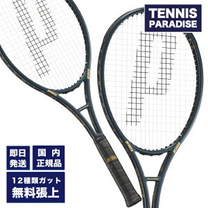 2025 prince vX ejXPbg t@gOt@Cg97 / PHANTOM GRAPHITE 97 (300g) (7TJ248) Iׂ12ނ̃T[rXKbgI