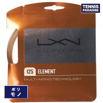 楽天市場】ルキシロン ガット m2の通販