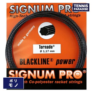 SIGNUM PRO �V�O�i���v�� �e�j�X�K�b�g �|�� �g���l�[�h117�E123 / TORNADO 117�E123 (12m) (SIG-TND) �O���[�u���b�N