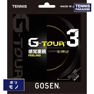 GOSEN �S�[�Z�� �e�j�X�K�b�g �|�� �W�[�c�A�[�X���[16L�E17�E17L / G-TOUR3 16L�E17�E17L (1.28mm) (1.23mm) (1.18mm) (TSGT30BK) (TSGT31BK) (TSGT31SY) (TSGT32BK) (TSGT32SY) �u���b�N�E�\���b�h�C�G���[