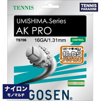 楽天市場】ゴーセン エーケープロ（テニス｜スポーツ・アウトドア）の通販