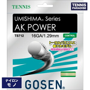 GOSEN �S�[�Z�� �e�j�X�K�b�g �i�C���� �G�[�P�[�p���[16 / AK POWER 16 (1.29mm) (TS712) �i�`�������J���[