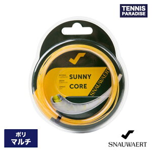 SNAUWAERT Xm[g ejXKbg | Tj[RA125 / SUNNY CORE125 (SWS202) CG[