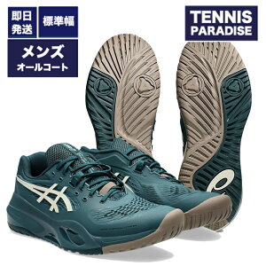 2025 asics �A�V�b�N�X �e�j�X�V���[�Y �I�[���R�[�g �����Y �Q�����]�����[�V����10 / GEL-RESOLUTION X (1041A481-300) �T�N�\���O���[�� × �o�[�`