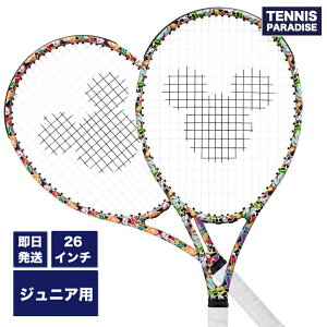 2023 prince vX ejXPbg WjA fBYj[r[Xg26 / Disney BEAST 26 (7TJ215) At@xbg~bNX Kbgグς