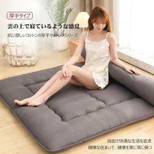 a10cm~}bgX ܂肽݉\ tApQ NbV ƒp}bg