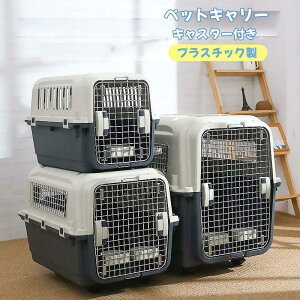  L[P[X ybgL[ LX^[t GAgxL[ L[obN Rei N[g n[hN[g vX`bN