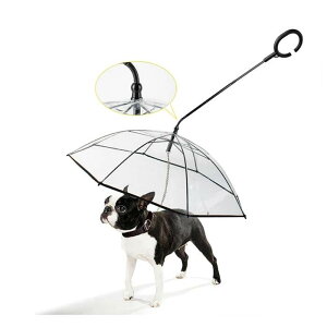  ybgpP LpP pP Lbg hbO ybgpi CObY Au pP J J̓ɎU [hڑ `F[t  ~鎞p Lp ^ ^ 