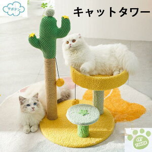 Lbg^[ u^ ^ L^[ nEX  R ܂Ƃt  ȃXy[X ^L Lp  ˂