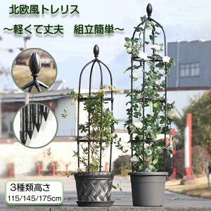 IxXN x gX ߉\  ȈՑg 鐫A  op K[f x  x |pi gȒP N}`X o KN 鐫A  K[fjO IxX