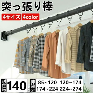 ˂_  85cm 274cm ω׏d140kg sv Lk_ nK[bN  J[e Ԏd؂ ̂ق hsv  󕨊 zc  O ߊȒP Vv  