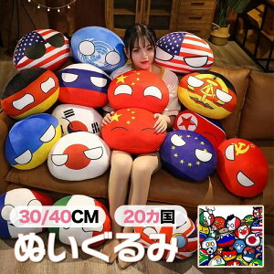 ʂ |[h{[  40cm 30cm  NbV q  [hJbv `[  ObY ʂ { AJ CMX ؍ kN VA hCc ENCi 