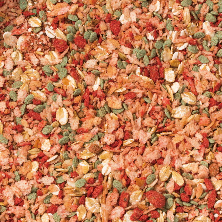 楽天市場 配合エサ マルキュー 爆寄せグレ フィッシングショップtポート 楽天市場 配合エサ マルキュー 爆寄せグレ フィッシングショップtポート