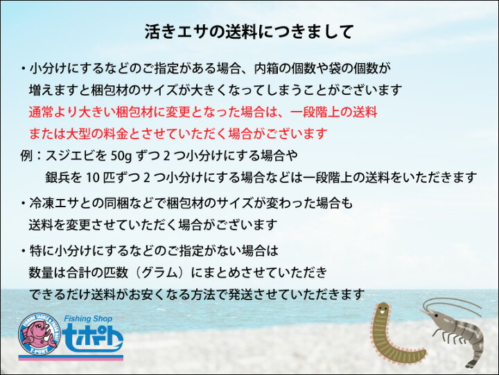 楽天市場 2 活エサ 銀兵 ウグイ ２０匹セット 中サイズ約10ｃｍ前後 他商品との同梱不可 ノークレーム限定 フィッシングショップｔポート