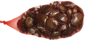 [700] アケミ貝（国産）1kg（サイズ選択不可）　※ノークレーム限定