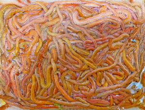 [252] X[p[ԃC\ 500g ނa I yS{Bz m[N[