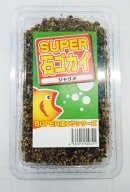 [301-302] スーパー石ゴカイ 釣り餌 驚異的な生命力！ 【完全養殖】 ※ノークレーム限定 釣り餌