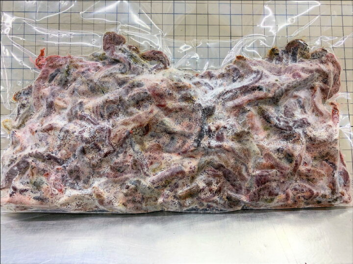 楽天市場 915 釣りエサ 塩マムシ 塩本虫 岩虫 ５００ｇ ５０００円パック ノークレーム了承 フィッシングショップｔポート