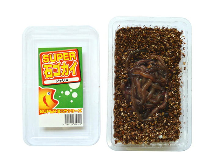 楽天市場 302 活エサ ｓｕｐｅｒ石ゴカイ 養殖砂虫 ５００円パック ノークレーム限定 フィッシングショップｔポート