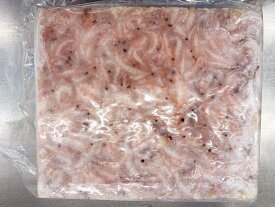 冷凍エサ　生オキアミ　マキエ用（約1.5kg）8枚まで1個口